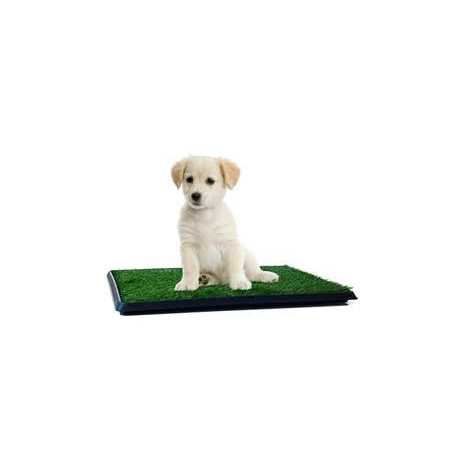 Artificial Grass Potty Trainer Mat K2747