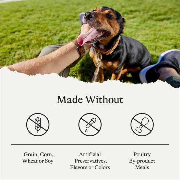 Grain-Free Sweet Potato Recipe Dry Dog Food U423380