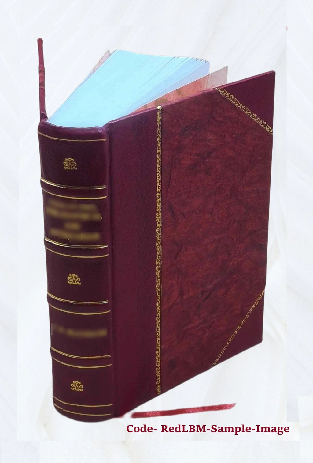 Leather Bound Book I5273