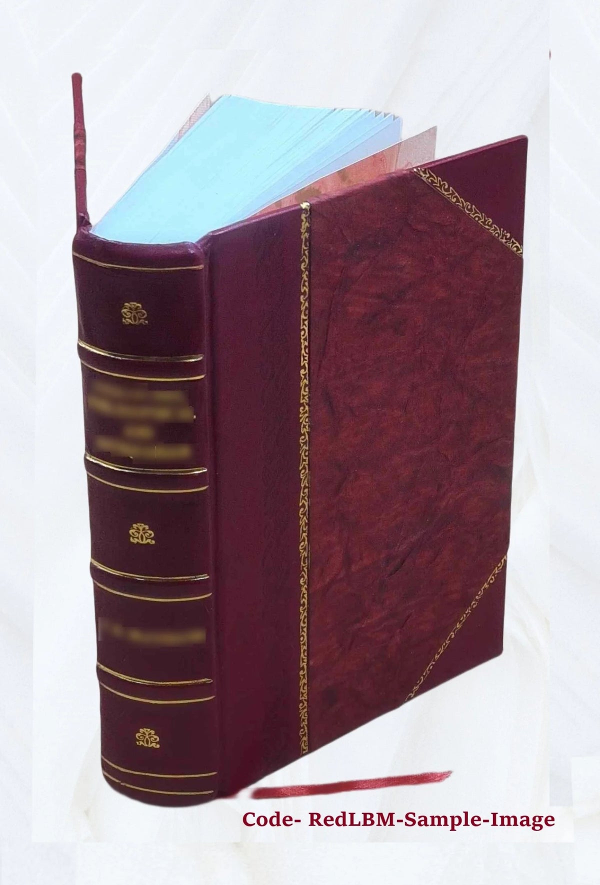 Leather Bound Book I5273