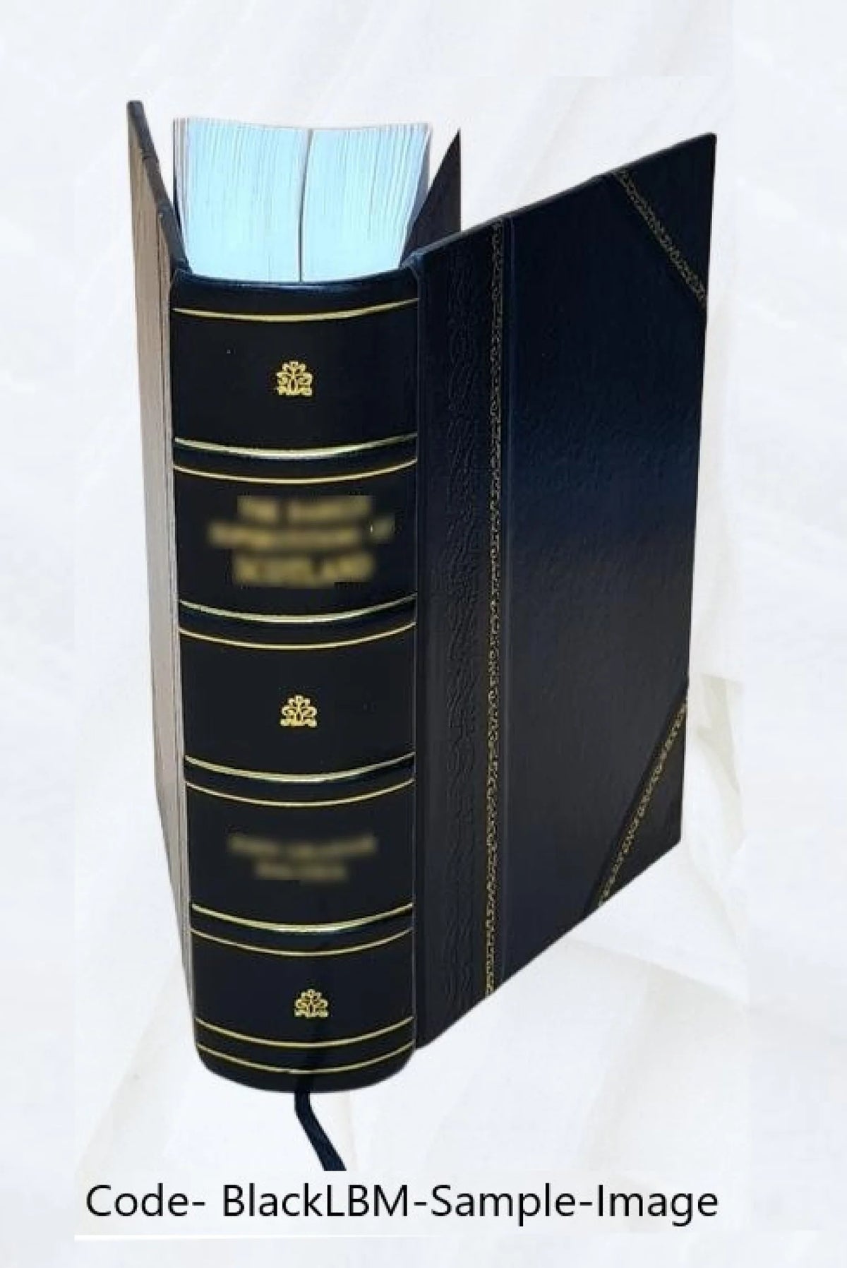 Leather Bound Book I5273