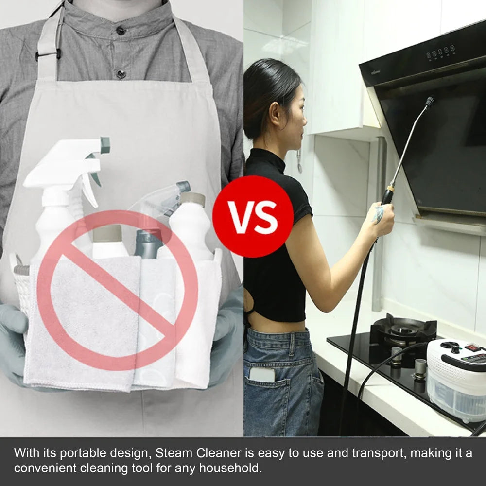 Handheld Pressurized Steam Cleaner D1881
