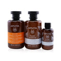 Holly Jolly Treats Set: Shampoo 250ml + Shower Gel 250ml + Body Milk 75ml, 3pcs Y15502
