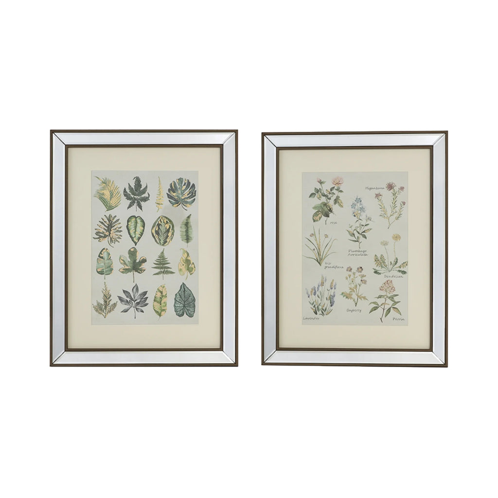Botanical Framed Wall Art 19.75" x 15.75" 2ct X35325