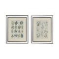 Botanical Framed Wall Art 19.75" x 15.75" 2ct X35325