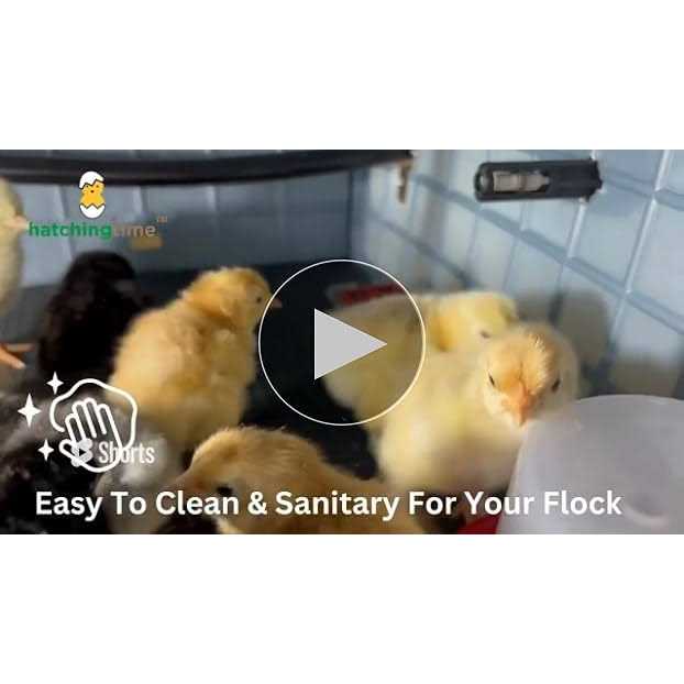 Chick Brooder M492