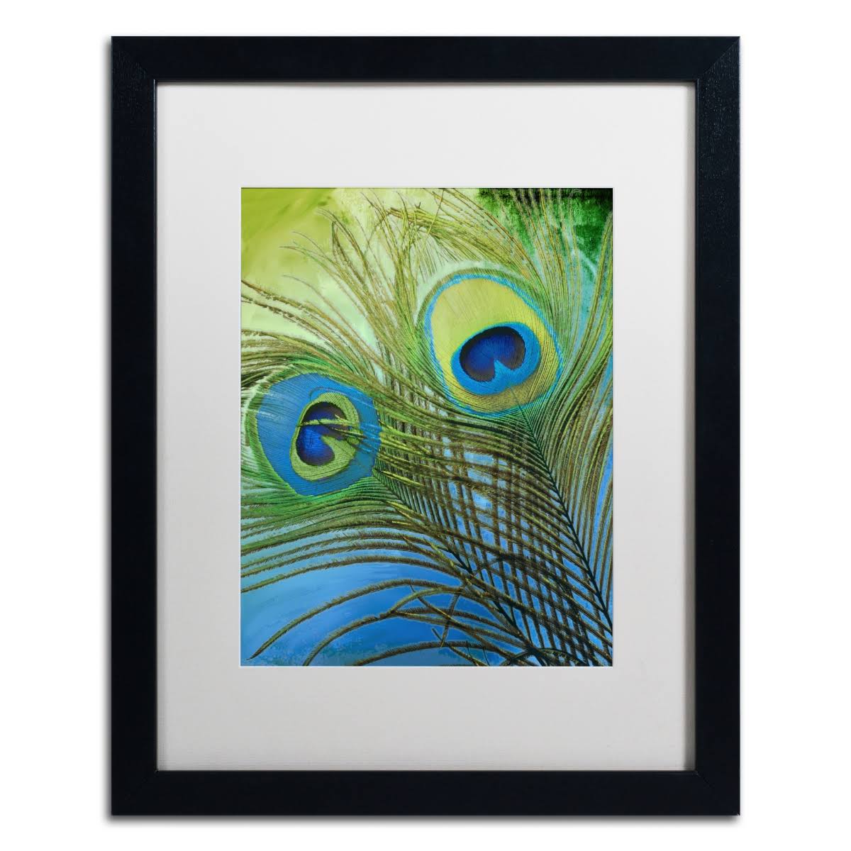 Framed Art 16x20 X6427