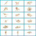 Puzzle Set M413