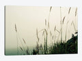 Canvas Prints - Foggy Coast Z594