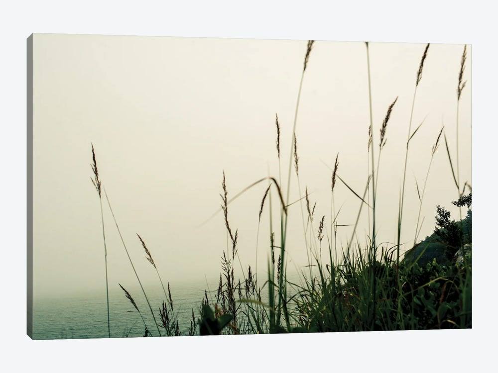 Canvas Prints - Foggy Coast Z594