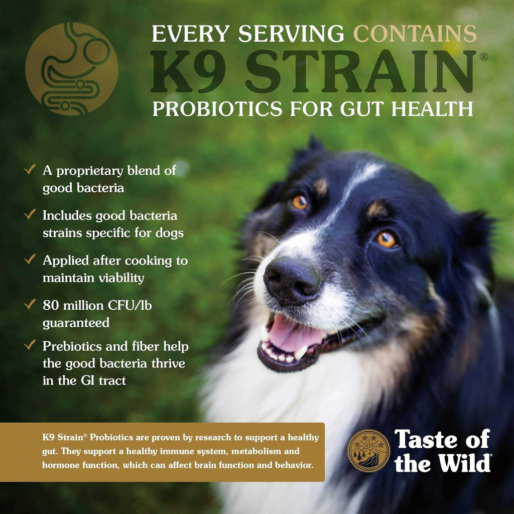 Dog Food Y9231