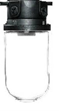 Vapor Proof 200 Box Black with Glass Globe U95124