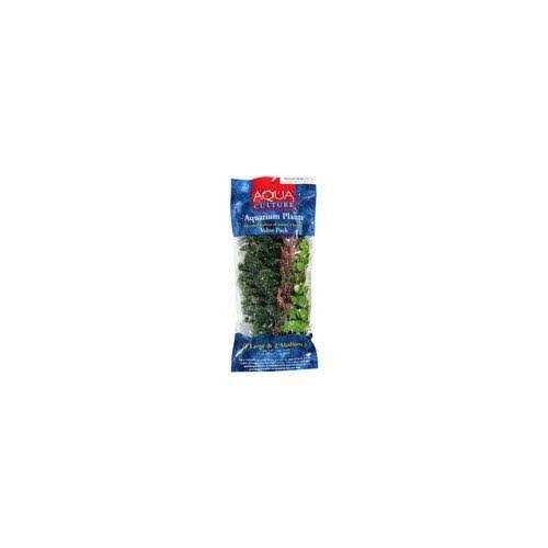 Aquarium Plants C8811