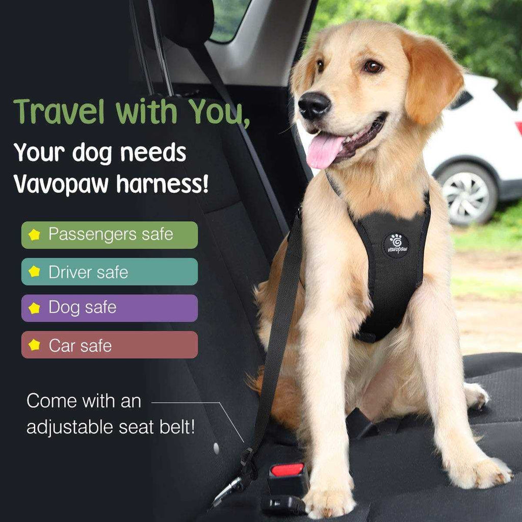 Adjustable Padded Mesh Dog Safety Vest Harness Q301