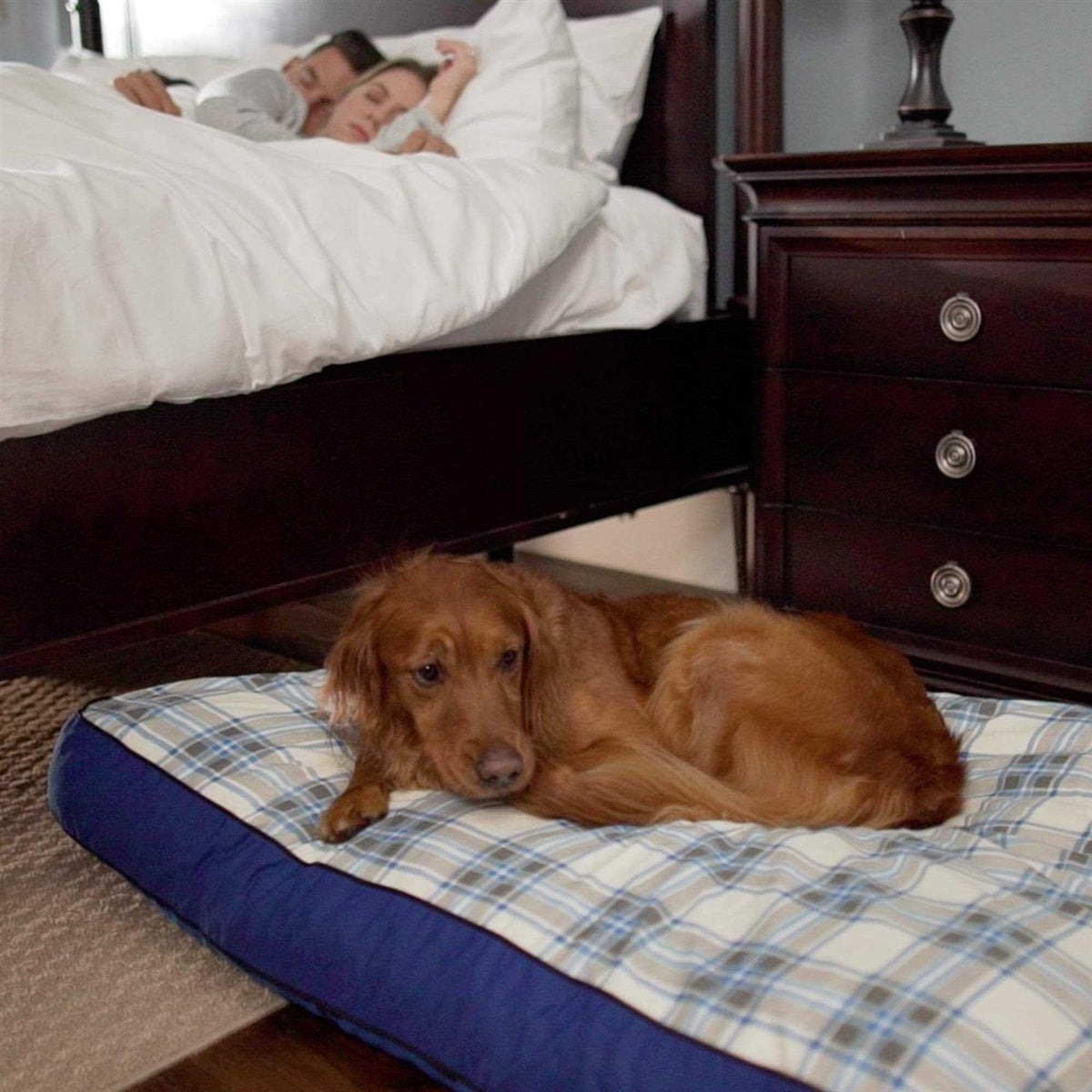 Dog Bed B3448