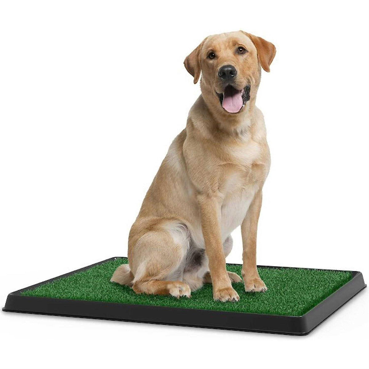 Artificial Grass Potty Trainer Mat K2747