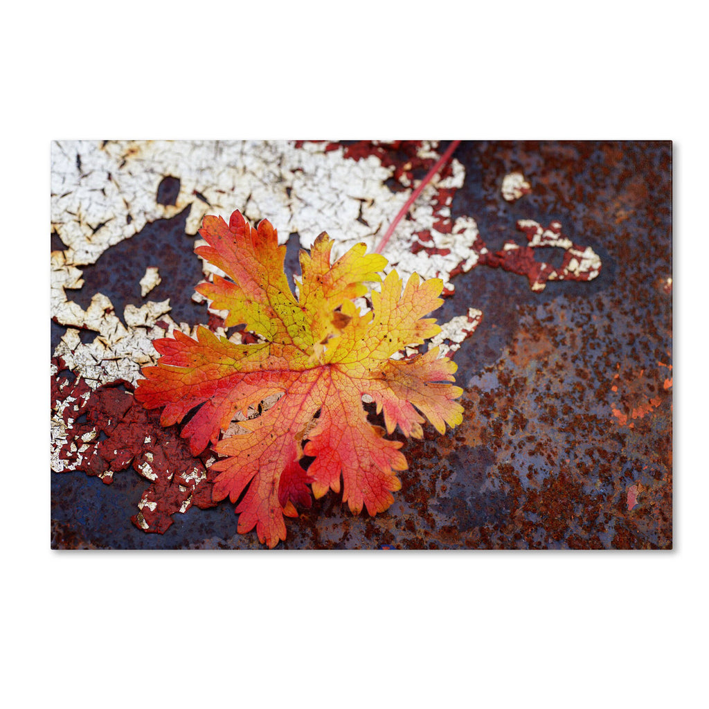 Autumn Rust Canvas Art A1602
