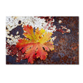 Autumn Rust Canvas Art A1602