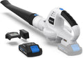 Cordless 20V MAX Lithium Battery Electric Leaf Blower Light Duty 150 MPH 2.0 Ah Battery & Charger Included Pack of 2 F79068