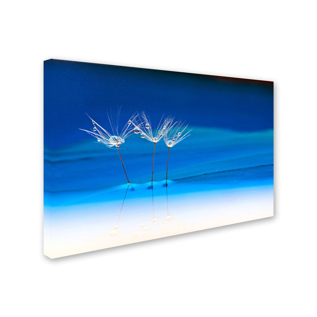 Blue Landscape Canvas Art (22x32) F39407