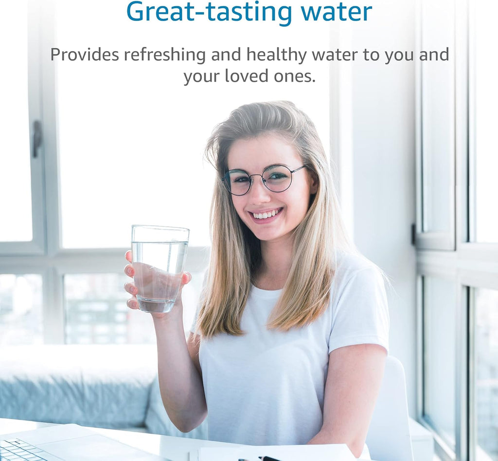 Black Purification Water Filter, Pack of 2 D201