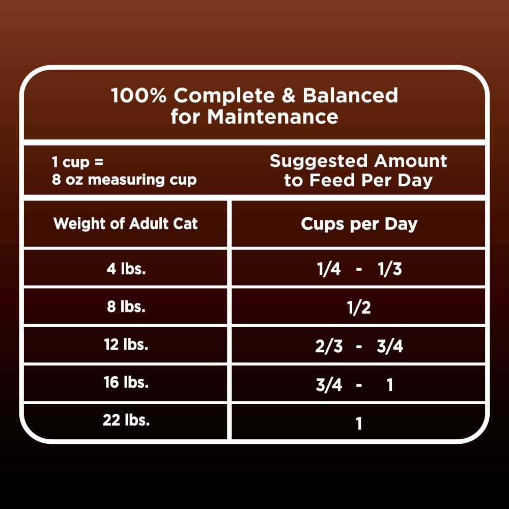 Turkey Chicken Recipe Adult Dry Cat Food B9367