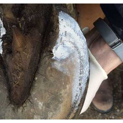 Hoof Clay 750g I46632