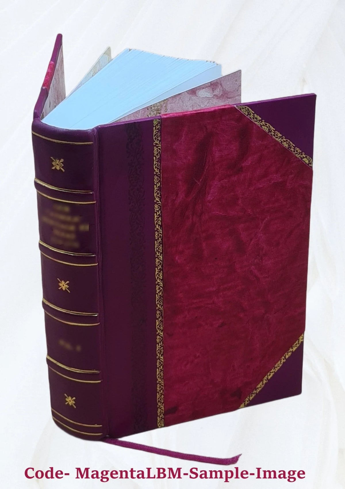 Leather Bound Book I5273