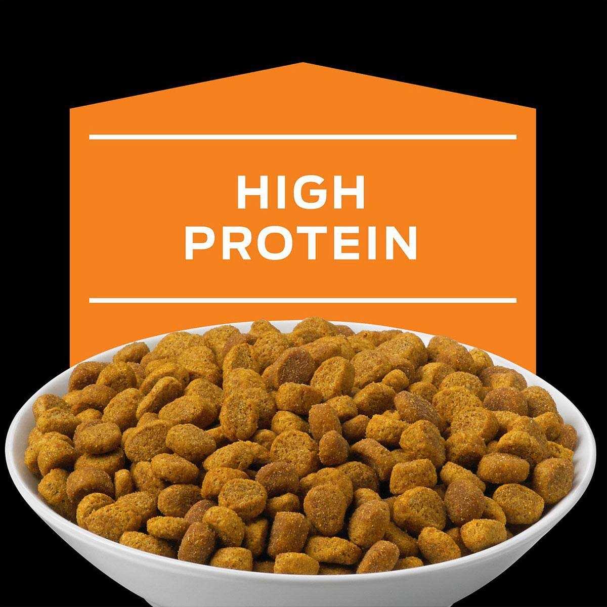 Overweight Management Formula Dry Cat Food S719