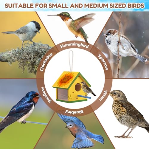 4 Set Wooden Birdhouse Kits with Lanyard and Post H4906