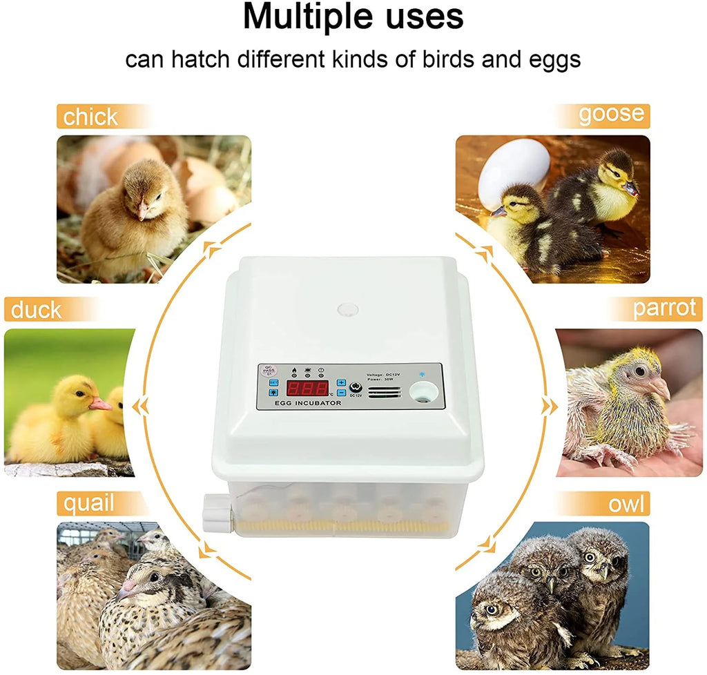 16 Eggs Incubator with Automatic Egg Turner D241354