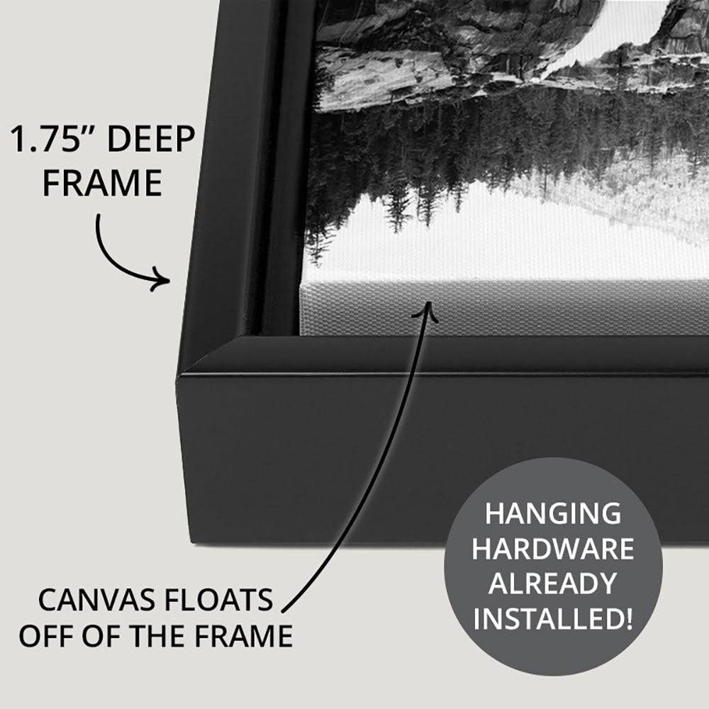 Black Float Frame Canvas Art P277